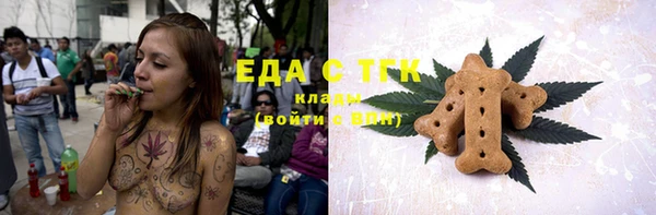 шишки Осташков