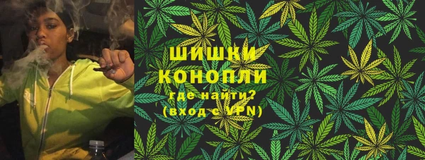 шишки Осташков