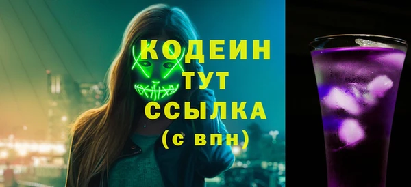 сатива Ельня