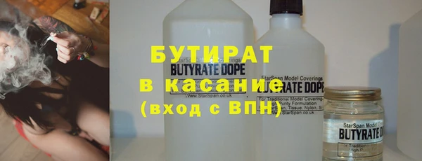 шишки Осташков