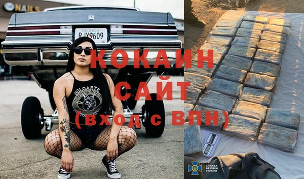 сатива Ельня