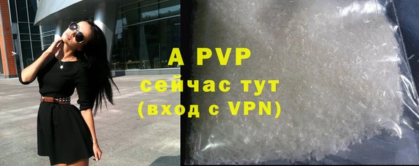 шишки Осташков