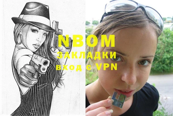 шишки Осташков