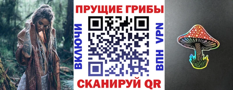 Псилоцибиновые грибы Psilocybine cubensis Рошаль
