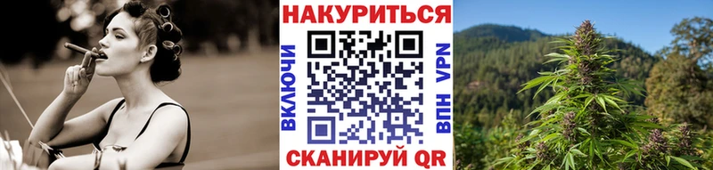 мориарти Telegram  Рошаль  Каннабис семена 